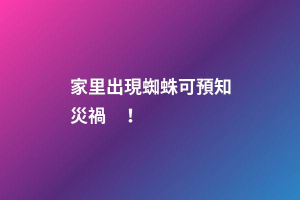 家里出現蜘蛛可預知災禍！